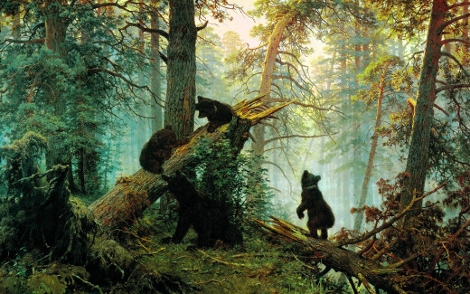 1694353 (a): :2880x1800